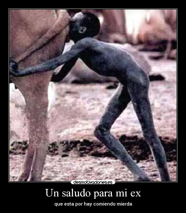 Un saludo para mi ex - que esta por hay comiendo mierda