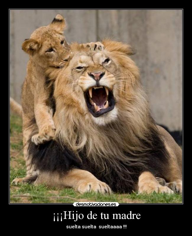 ¡¡¡Hijo de tu madre - 