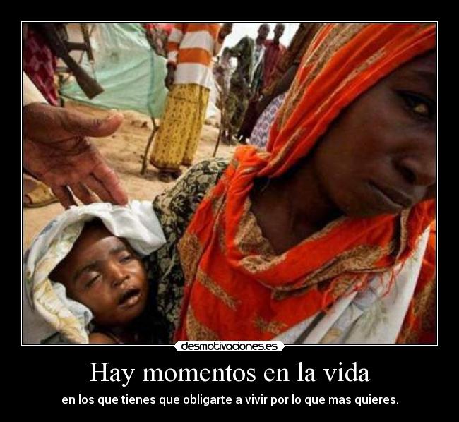 carteles vida unaracheldesmotivada desmotivaciones