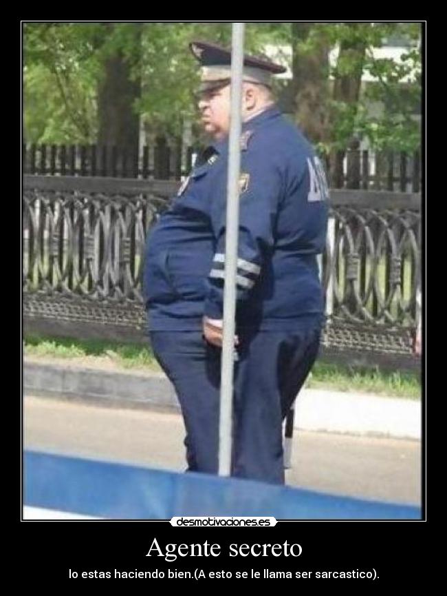 Agente secreto - lo estas haciendo bien.(A esto se le llama ser sarcastico).