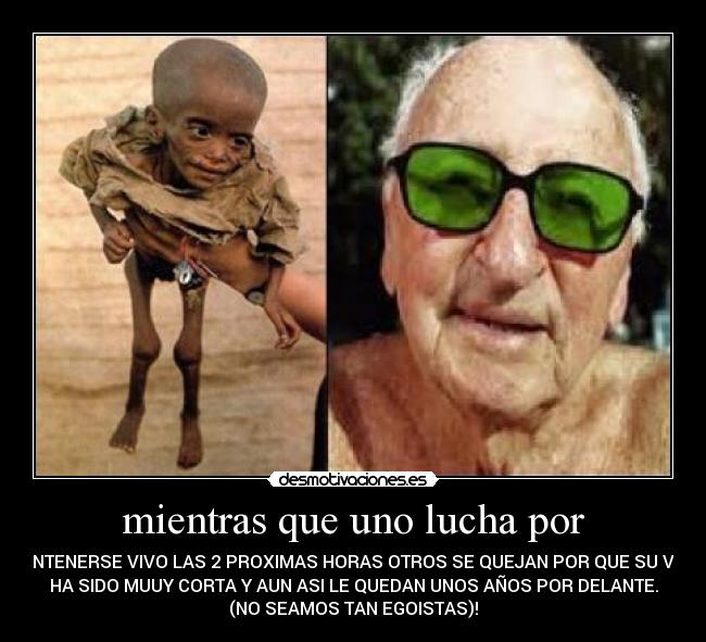 carteles simple vida desmotivaciones