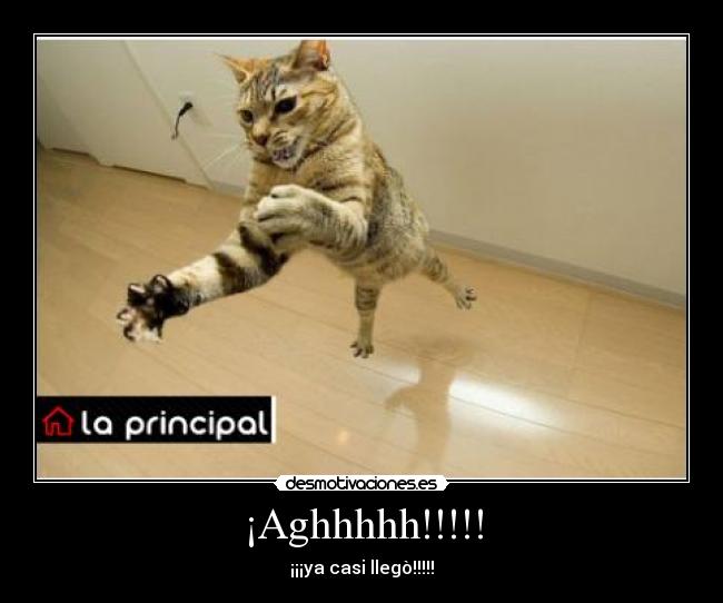 ¡Aghhhhh!!!!! - ¡¡¡ya casi llegò!!!!!