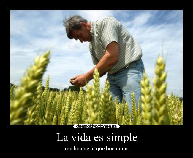 La vida es simple -