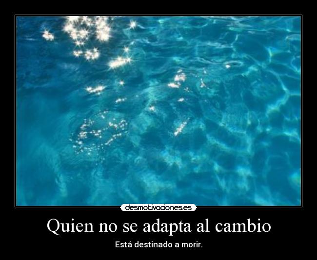 Quien no se adapta al cambio - 