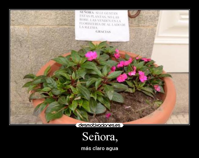 Señora, - más claro agua