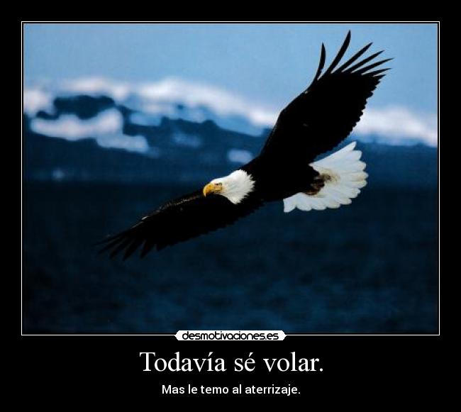 Todavía sé volar. - Mas le temo al aterrizaje.