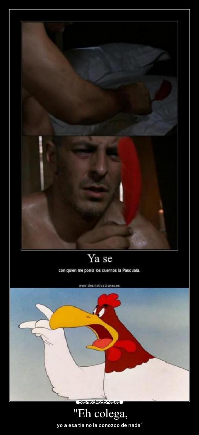 carteles menudo fucker gallo claudio desmotivaciones