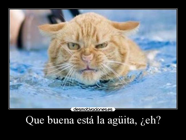 Que buena está la agüita, ¿eh? - 