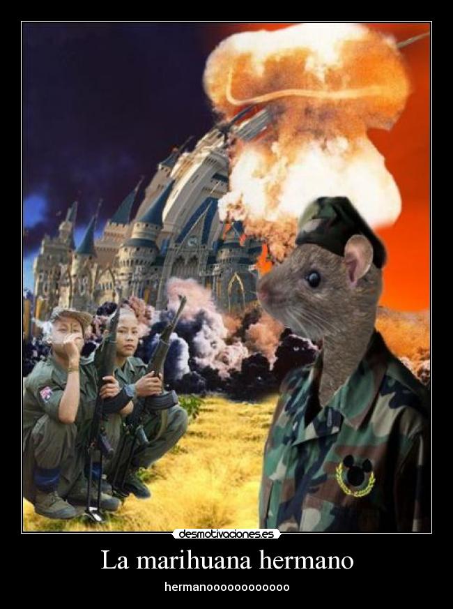 La marihuana hermano - 