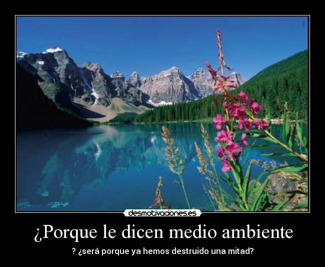 ¿Porque le dicen medio ambiente - ? ¿será porque ya hemos destruido una mitad?