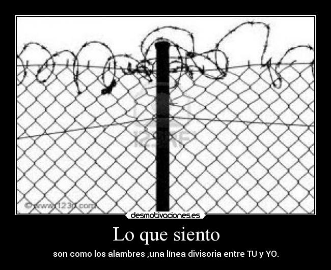 Lo que siento - son como los alambres ,una línea divisoria entre TU y YO.