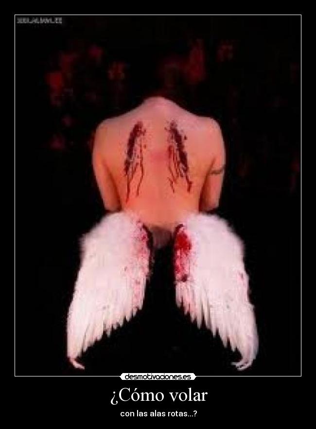 ¿Cómo volar - con las alas rotas...?