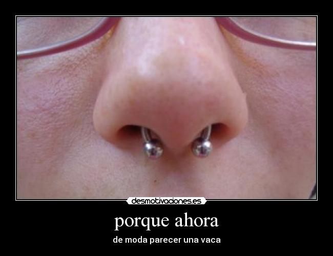 porque ahora - de moda parecer una vaca