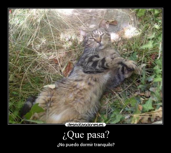 ¿Que pasa? -