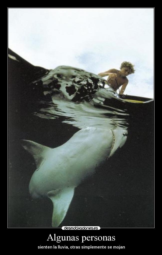 Algunas personas - sienten la lluvia, otras simplemente se mojan