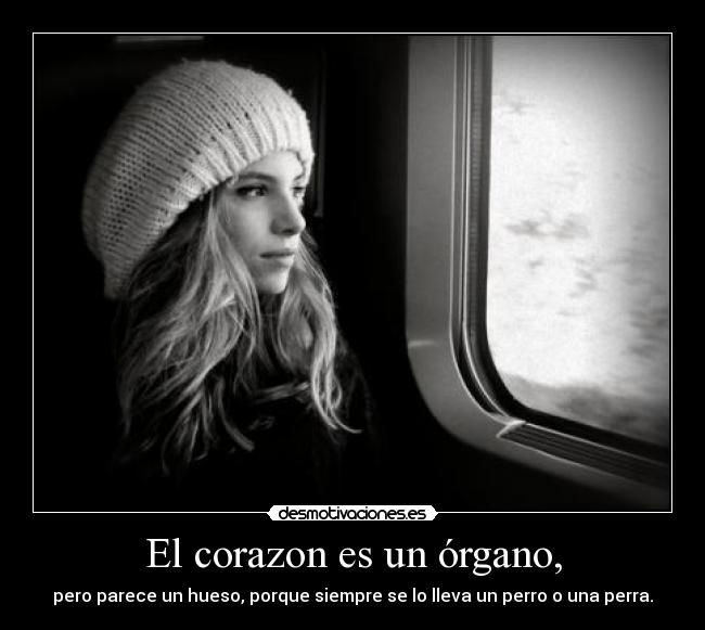 El corazon es un órgano, - 