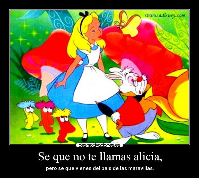 Se que no te llamas alicia, - pero se que vienes del pais de las maravillas.