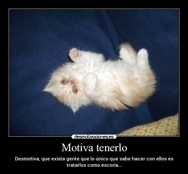 Motiva tenerlo - 