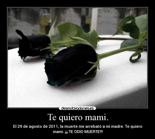 Te quiero mami. -