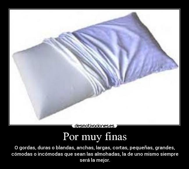 Por muy finas - 