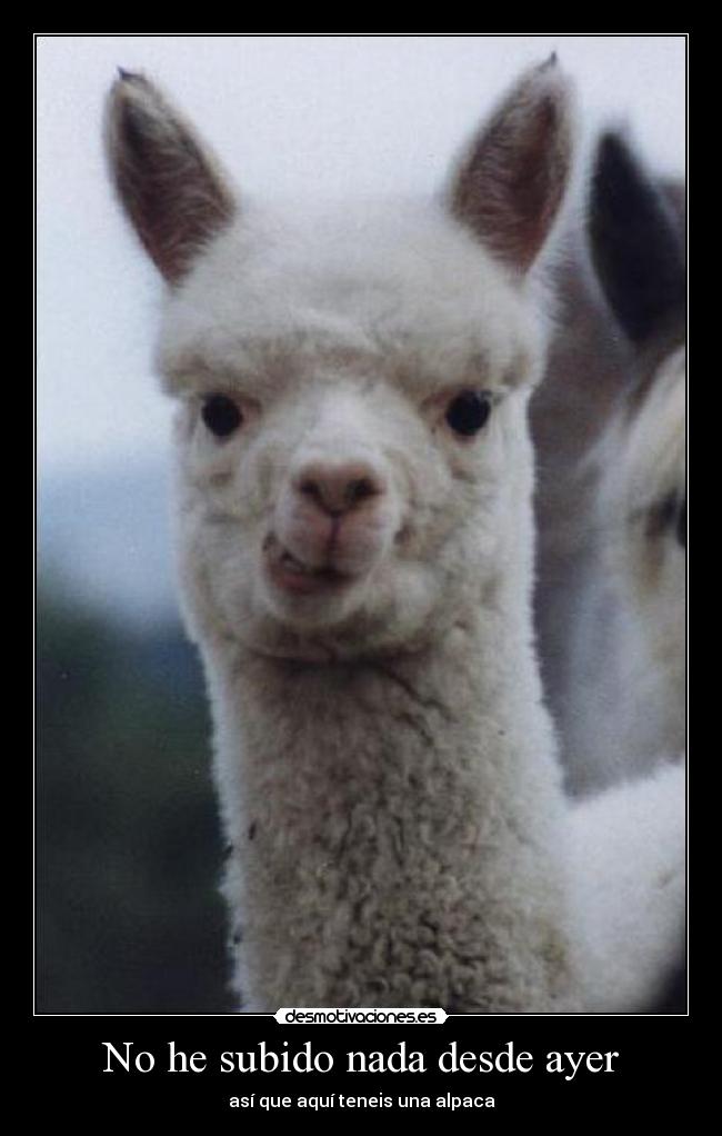 No he subido nada desde ayer -