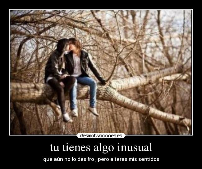 carteles alteras mis sentidos desmotivaciones