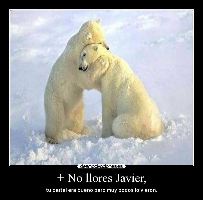 + No llores Javier, -