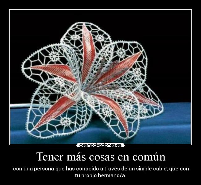 carteles amistad desmotivaciones