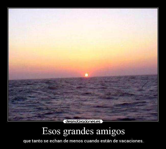 Esos grandes amigos - que tanto se echan de menos cuando están de vacaciones.