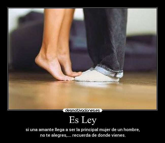 carteles ley desmotivaciones