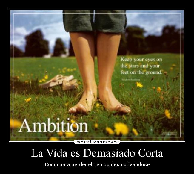 La Vida es Demasiado Corta -