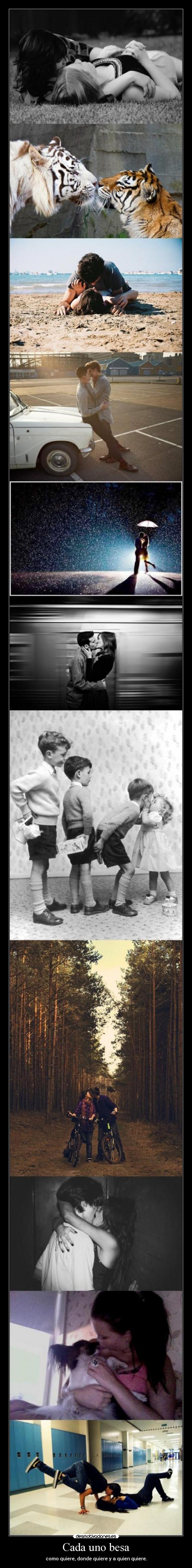 Cada uno besa - 