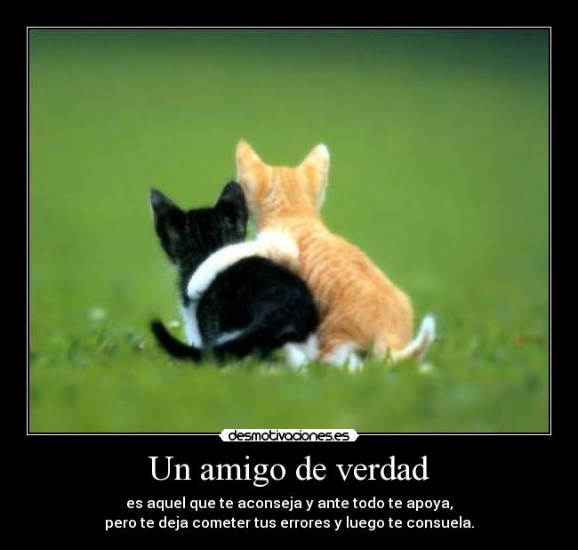 Un amigo de verdad - es aquel que te aconseja y ante todo te apoya,
pero te deja cometer tus errores y luego te consuela.