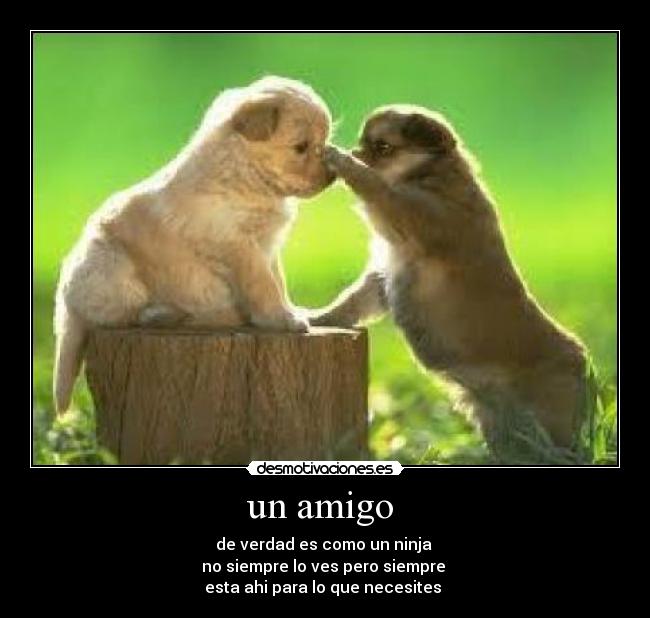 un amigo -