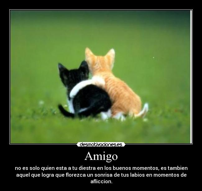 Amigo - no es solo quien esta a tu diestra en los buenos momentos, es tambien
aquel que logra que florezca un sonrisa de tus labios en momentos de
afliccion.