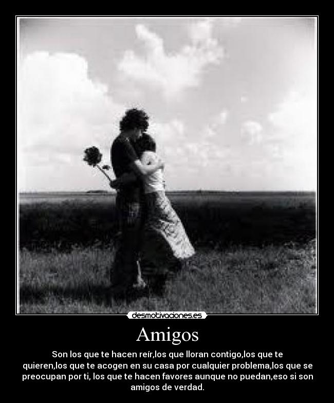 carteles amigos amigos verdad tags desmotivaciones