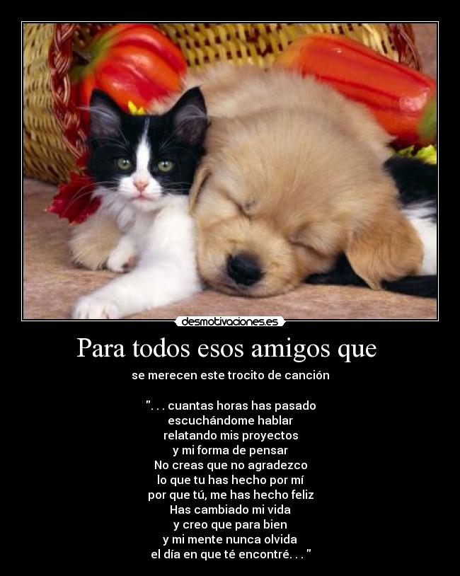 carteles amigos amigos desmotivaciones