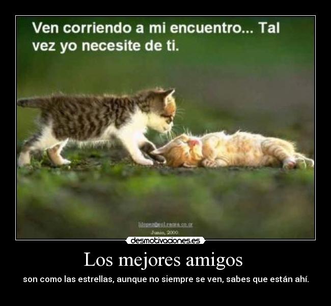 Los mejores amigos  - 