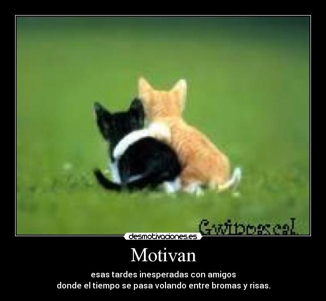Motivan - esas tardes inesperadas con amigos
donde el tiempo se pasa volando entre bromas y risas.