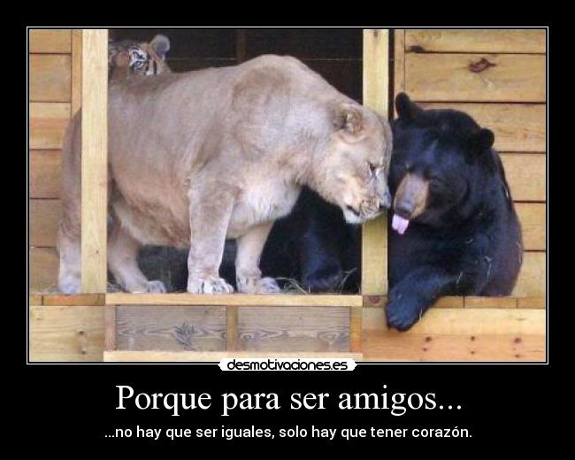 Porque para ser amigos... -