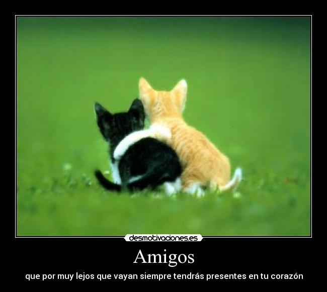 Amigos - 