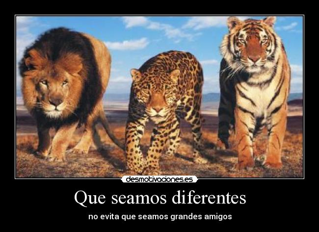 Que seamos diferentes -