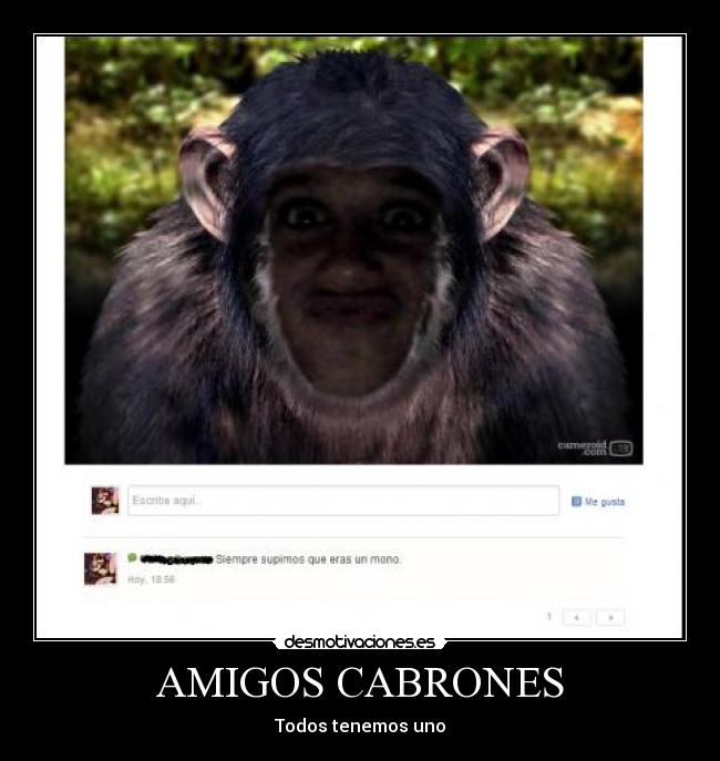 AMIGOS CABRONES - Todos tenemos uno