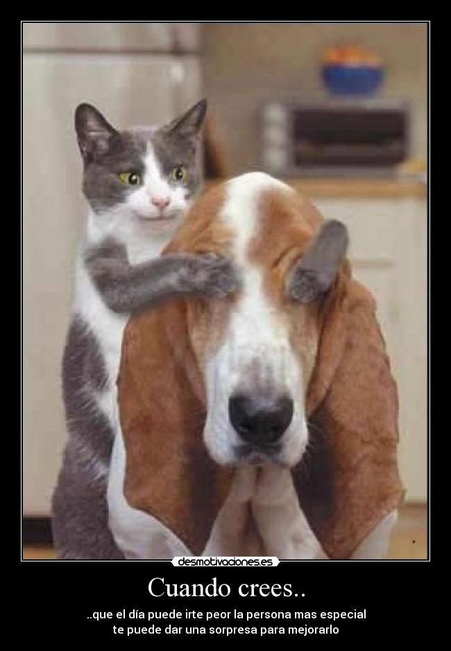 Cuando crees.. - ..que el día puede irte peor la persona mas especial
te puede dar una sorpresa para mejorarlo