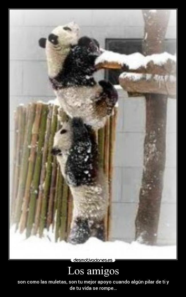 Los amigos - son como las muletas, son tu mejor apoyo cuando algún pilar de ti y
de tu vida se rompe...