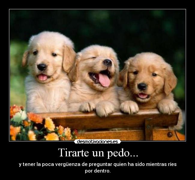 carteles pedete desmotivaciones