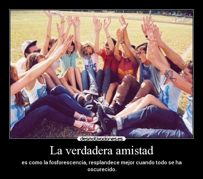 carteles amistad zerogravity desmotivaciones