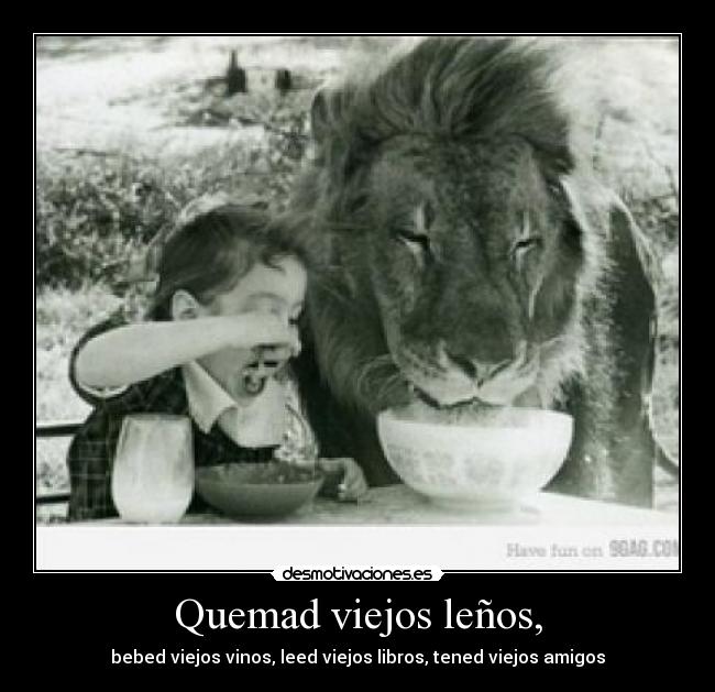 Quemad viejos leños, -