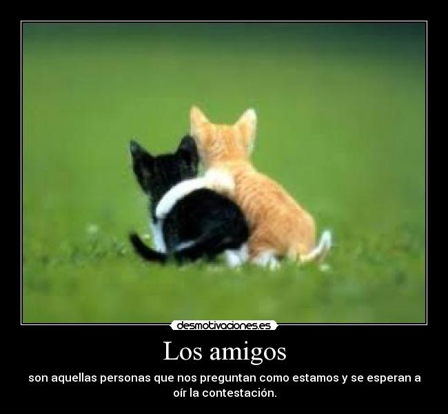 Los amigos - son aquellas personas que nos preguntan como estamos y se esperan a
oír la contestación.