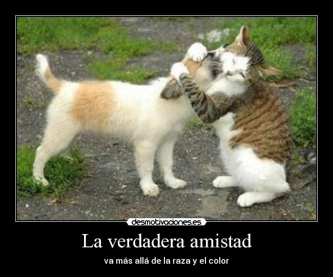 La verdadera amistad -